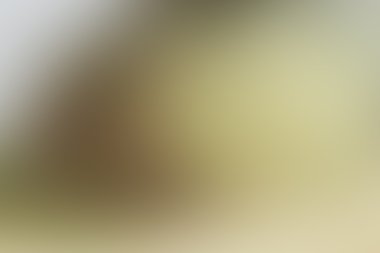 Arka plan. Düzgün degrade arka plan ışık ve col