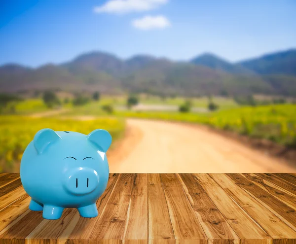 blue pig bank on wood background  with blur mountain and field b