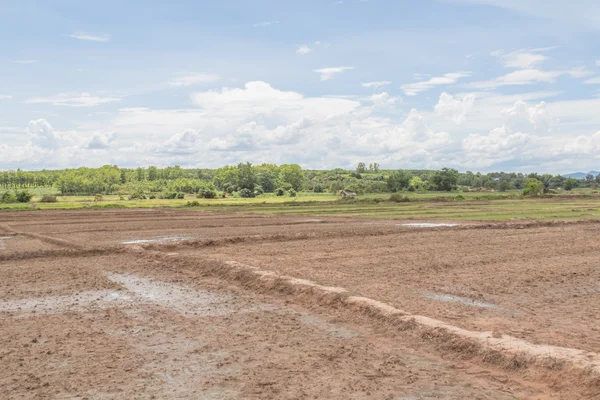 Tierra antes de plantar —  Fotos de Stock