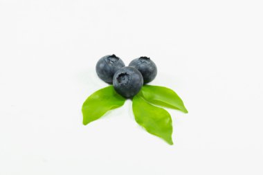 beyaz arkaplanda yaban mersini izole