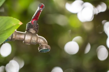 eski ve grunge pirinç musluk ve su yeşil bokeh t bırakın