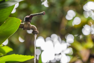 eski ve grunge pirinç musluk ve su yeşil bokeh t bırakın