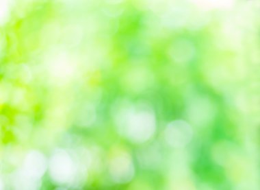 Ağaç renk arka plan için soyut Bokeh