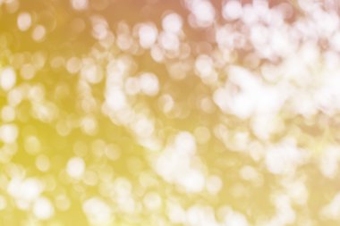 Ağaç renk arka plan için soyut Bokeh