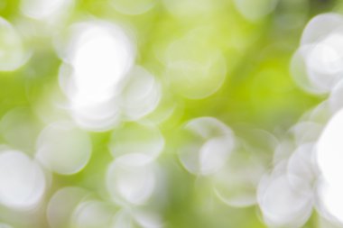 Ağaç renk arka plan için soyut Bokeh