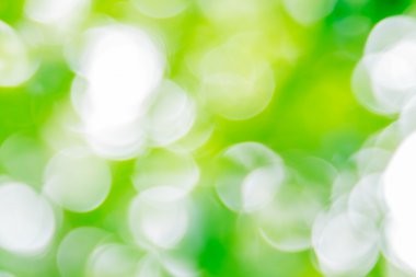 Ağaç renk arka plan için soyut Bokeh