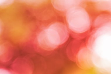 Ağaç renk arka plan için soyut Bokeh