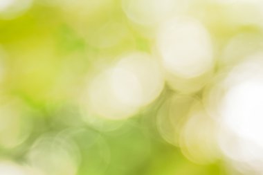 Ağaç renk arka plan için soyut Bokeh