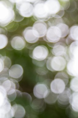 Ağaç renk arka plan için soyut Bokeh