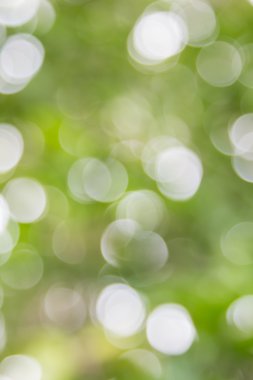 Ağaç renk arka plan için soyut Bokeh