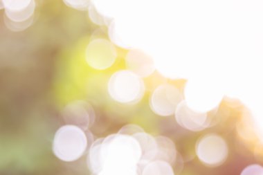 Ağaç renk arka plan için soyut Bokeh