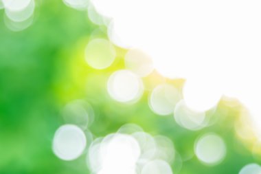 Ağaç renk arka plan için soyut Bokeh