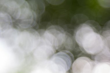 Ağaç renk arka plan için soyut Bokeh