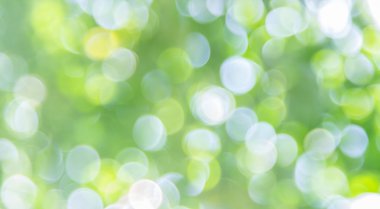 Ağaç renk arka plan için soyut Bokeh