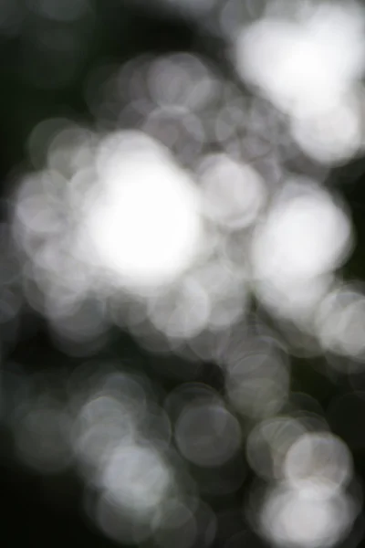 Abstrato Bokeh de cor de árvore para fundo — Fotografia de Stock