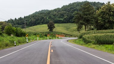 ağaçların ülke Road