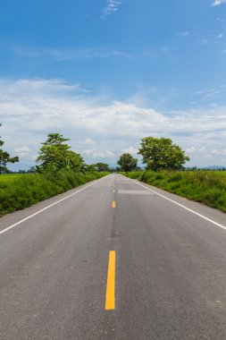 ağaçların ülke Road