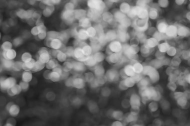 Siyah ve beyaz arka plan üzerinde soyut dairesel bokeh