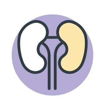 Böbrekler vektör simgesi