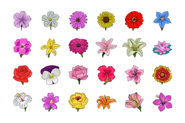 Icônes vectorielles florales 1 — Image vectorielle