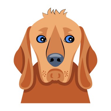 Broholmer köpek suratının düz bir simgesi.