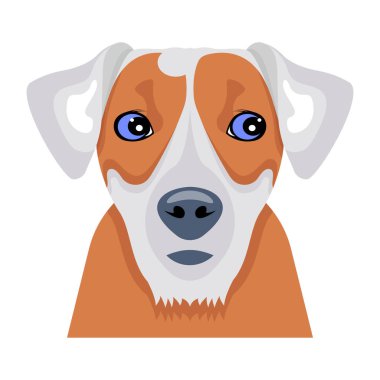 Jack Russell Dog 'un düz stil vektörü