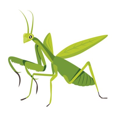 Peygamber devesinin şirin düz bir simgesi