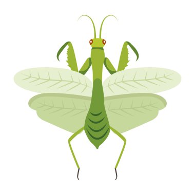 Peygamber devesinin şirin düz bir simgesi