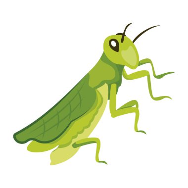 Peygamber devesinin şirin düz bir simgesi