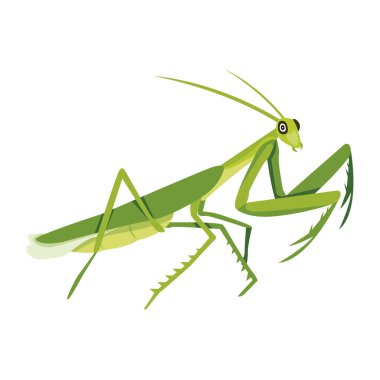 Peygamber devesinin şirin düz bir simgesi