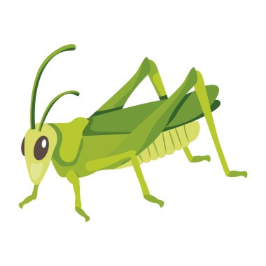 Peygamber devesinin şirin düz bir simgesi