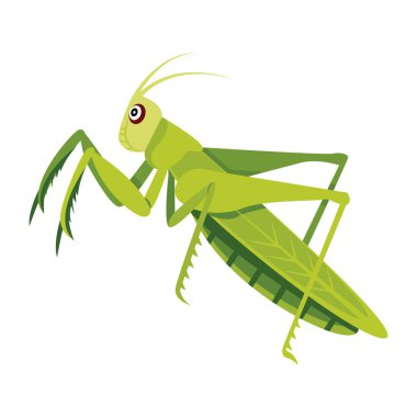 Peygamber devesinin şirin düz bir simgesi