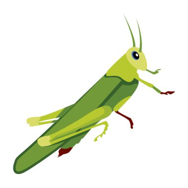 Peygamber devesinin şirin düz bir simgesi