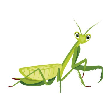 Peygamber devesinin şirin düz bir simgesi