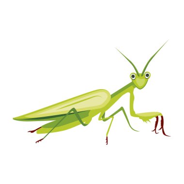 Peygamber devesinin şirin düz bir simgesi