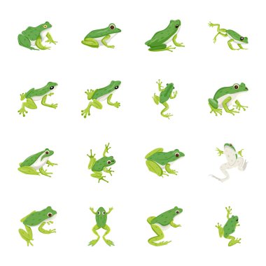 Şirin Kurbağa Çizgi Filmleri Toplama Düz Simgeleri