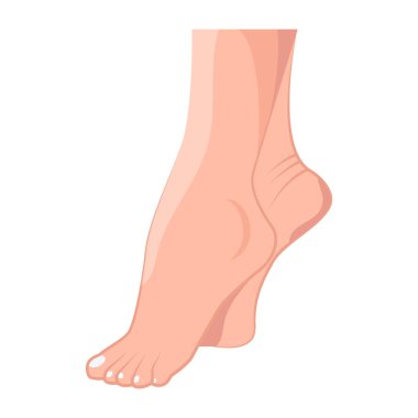 Düz bir kadın ayağı ikonu