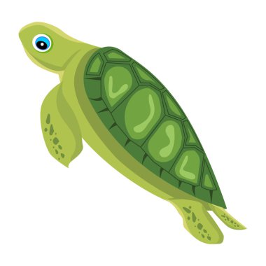 Şirin düz bir kaplumbağa ikonu.