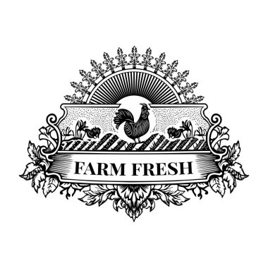 Bal arısını gösteren klasik bir illüstrasyon