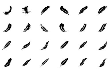 Feathers Vector Solid Icons 2 clipart