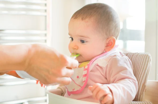 Alimentazione svezzamento neonato — Foto Stock