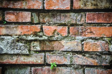 doku grunge mahvetti tuğla duvar