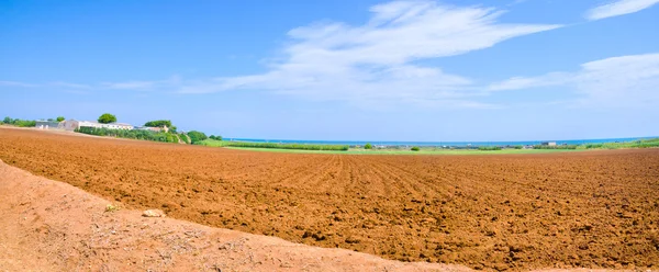 Campo cultivado de solo típicos vermelhos da Apúlia ou Terra Rossa di Puglia — Fotografia de Stock