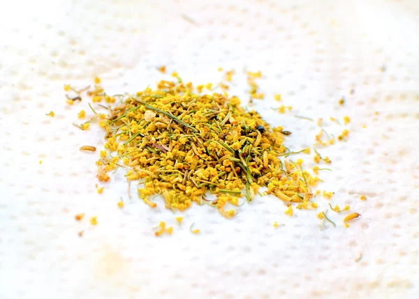 Fennel flowers dried — Stock Photo, Image