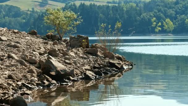 Loopable riva del lago scena tranquilla su sfondo roccioso piccolo albero — Video Stock