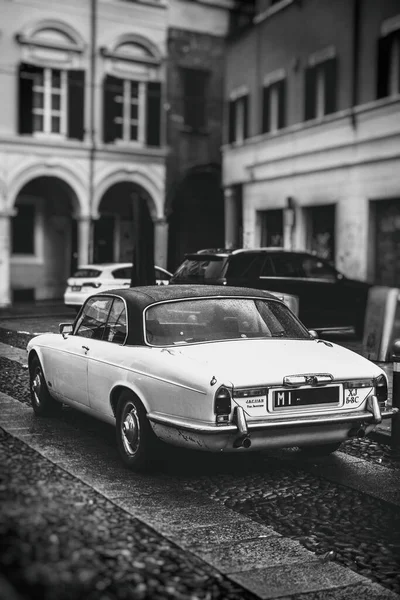 Vintage jaguar autó függőleges fekete-fehér háttér — Stock Fotó