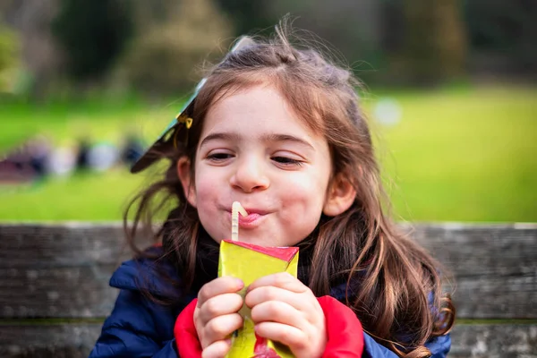 Fröhliches Mädchen-Picknick - gesunde Ernährung Fruchtsaft Stockbild