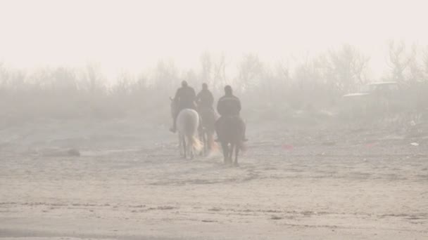 Paardrijden op het strand gezien in de verte ondergedompeld in prachtige zonsondergang mist met korrelige film effect — Stockvideo