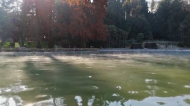 Güneşin ışığına karşı koyduğu büyülü sonbahar ağaçlarının içinde kaynayan sıcak su havuzu.