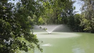 Bologna çeşme havuzundaki Giardini Margherita bahçeleri